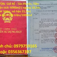 ĐẤT VƯỜN- GIÁ RẺ - Tân Phước, Tiền Giang
