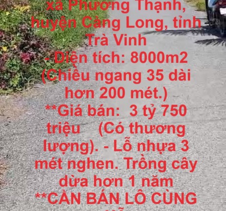 HOT HOT ! - CHÍNH CHỦ CẦN BÁN 2 LÔ ĐẤT TẠI XÃ PHƯƠNG THẠNH, HUYỆN CÀNG LONG, TỈNH TRÀ VINH