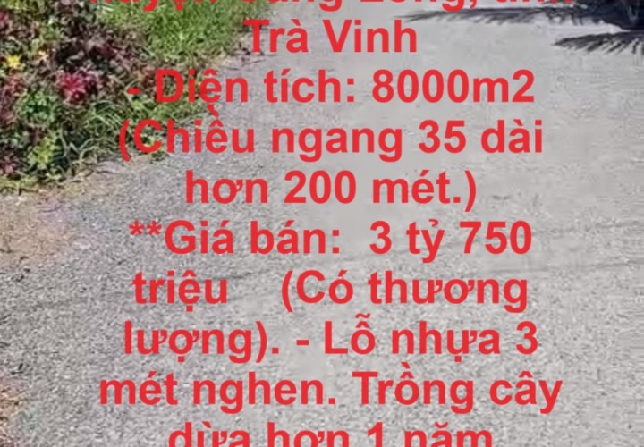 HOT HOT ! - Chính Chủ Cần Bán 2 Lô Đất tại  xã Phương Thạnh, huyện Càng Long, tỉnh Trà Vinh