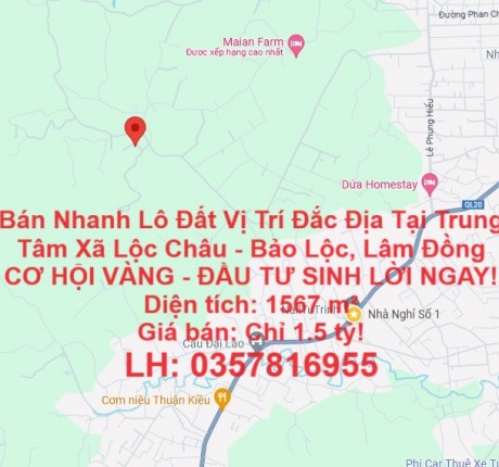 BÁN NHANH LÔ ĐẤT VỊ TRÍ ĐẮC ĐỊA TẠI TRUNG TÂM XÃ LỘC CHÂU - BẢO LỘC, LÂM ĐỒNG