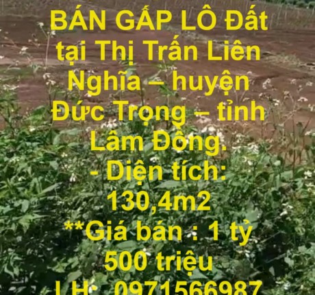 HOT HOT- CẦN BÁN GẤP LÔ ĐẤT TẠI THỊ TRẤN LIÊN NGHĨA – HUYỆN ĐỨC TRỌNG – TỈNH LÂM ĐỒNG