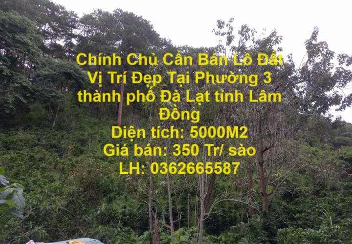 Chính Chủ Cần Bán Lô Đất Vị Trí Đẹp Tại Phường 3 thành phố Đà Lạt tỉnh Lâm Đồng