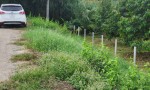 ĐẤT ĐẸP – GIÁ RẺ  - CẦN BÁN NHANH 2 LÔ ĐẤT Siêu Đẹp Tại CHÂU THÀNH, ĐỒNG THÁP