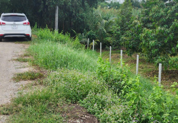 ĐẤT ĐẸP – GIÁ RẺ  - CẦN BÁN NHANH 2 LÔ ĐẤT Siêu Đẹp Tại CHÂU THÀNH, ĐỒNG THÁP