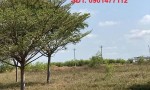 ĐẤT ĐẸP- GIÁ ĐẦU TƯ  - CẦN BÁN LÔ ĐẤT KCN Hàm Kiệm 1, Hàm Kiệm - Hàm Mỹ, Hàm Thuận Nam, Bình Thuận