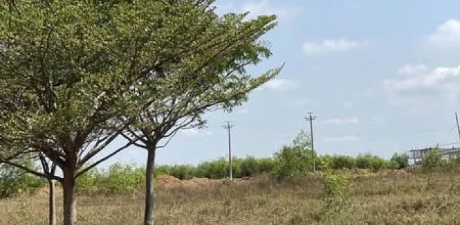 ĐẤT ĐẸP- GIÁ ĐẦU TƯ - CẦN BÁN LÔ ĐẤT KCN Hàm Kiệm 1, Hàm Kiệm - Hàm Mỹ, Hàm Thuận Nam, Bình Thuận