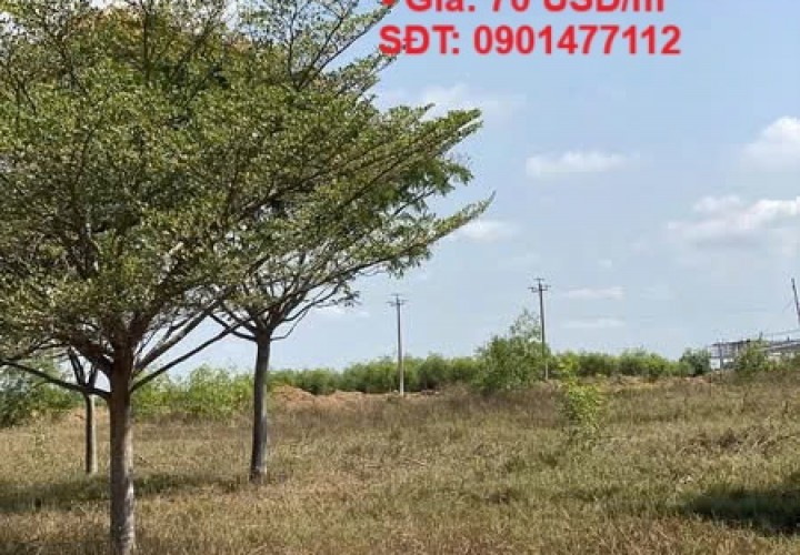 ĐẤT ĐẸP- GIÁ ĐẦU TƯ  - CẦN BÁN LÔ ĐẤT KCN Hàm Kiệm 1, Hàm Kiệm - Hàm Mỹ, Hàm Thuận Nam, Bình Thuận
