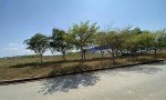 ĐẤT ĐẸP- GIÁ ĐẦU TƯ  - CẦN BÁN LÔ ĐẤT KCN Hàm Kiệm 1, Hàm Kiệm - Hàm Mỹ, Hàm Thuận Nam, Bình Thuận