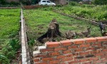 ĐẤT ĐẸP – CHÍNH CHỦ CẦN BÁN NHANH LÔ ĐẤT 2 Mặt Tiền Tại SÓC SƠN, Thành Phố HÀ NỘI
