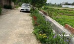 ĐẤT ĐẸP – CHÍNH CHỦ CẦN BÁN NHANH LÔ ĐẤT 2 Mặt Tiền Tại SÓC SƠN, Thành Phố HÀ NỘI