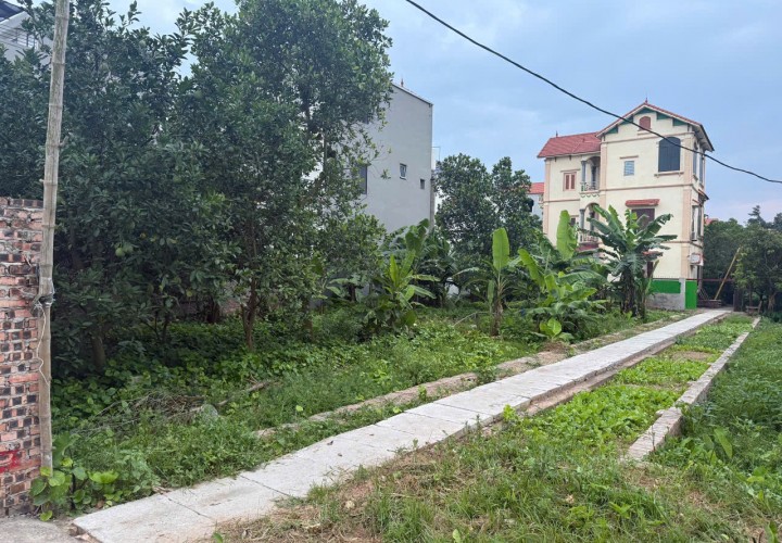BÁN NHANH SIÊU PHẨM PHÂN LÔ Thôn KIM SƠN (GIA LÂM) THUẬN AN - MẶT TIỀN 37M