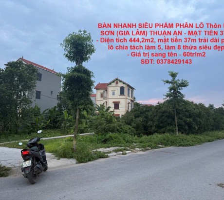 BÁN NHANH SIÊU PHẨM PHÂN LÔ Thôn KIM SƠN (GIA LÂM) THUẬN AN - MẶT TIỀN 37M