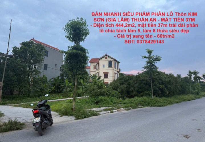 BÁN NHANH SIÊU PHẨM PHÂN LÔ Thôn KIM SƠN (GIA LÂM) THUẬN AN - MẶT TIỀN 37M