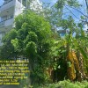 CHÍNH CHỦ Cần Bán Nhanh Lô Đất  Đẹp Khu 13C Greenlife Vị Trí Tại Huyện Bình Chánh, TP HCM