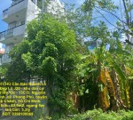 CHÍNH CHỦ Cần Bán Nhanh Lô Đất  Đẹp Khu 13C Greenlife Vị Trí Tại Huyện Bình Chánh, TP HCM