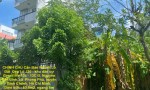 CHÍNH CHỦ Cần Bán Nhanh Lô Đất  Đẹp Khu 13C Greenlife Vị Trí Tại Huyện Bình Chánh, TP HCM