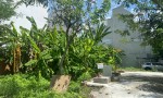 CHÍNH CHỦ Cần Bán Nhanh Lô Đất  Đẹp Khu 13C Greenlife Vị Trí Tại Huyện Bình Chánh, TP HCM