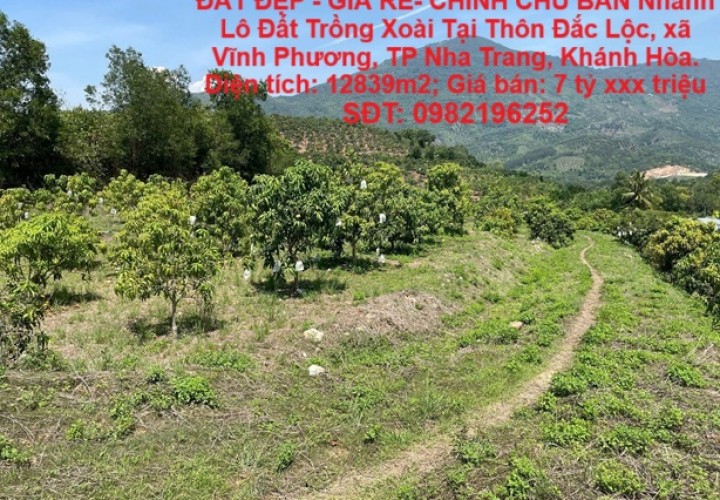 ĐẤT ĐẸP - GIÁ RẺ- CHÍNH CHỦ BÁN Nhanh Lô Đất Trồng Xoài Tại Vĩnh Phương, Nha Trang, Khánh Hòa