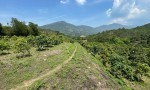 ĐẤT ĐẸP - GIÁ RẺ- CHÍNH CHỦ BÁN Nhanh Lô Đất Trồng Xoài Tại Vĩnh Phương, Nha Trang, Khánh Hòa
