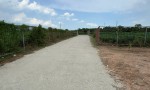 CHÍNH CHỦ BÁN GẤP 1,2HA Đất 550M2 Thổ Cư Phường Hắc Dịch, Phú Mỹ, Bà Rịa Vũng Tàu