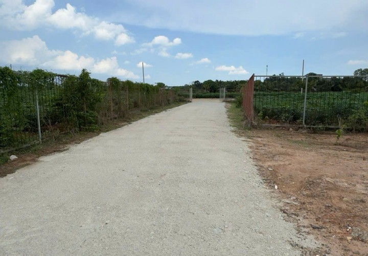 CHÍNH CHỦ BÁN GẤP 1,2HA Đất 550M2 Thổ Cư Phường Hắc Dịch, Phú Mỹ, Bà Rịa Vũng Tàu