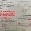 CHÍNH CHỦ BÁN GẤP 1,2HA Đất 550M2 Thổ Cư Phường Hắc Dịch, Phú Mỹ, Bà Rịa Vũng Tàu
