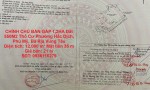 CHÍNH CHỦ BÁN GẤP 1,2HA Đất 550M2 Thổ Cư Phường Hắc Dịch, Phú Mỹ, Bà Rịa Vũng Tàu