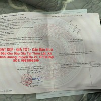 ĐẤT ĐẸP - GIÁ TỐT - Cần Bán 4 Lô Đất Khu Đấu Giá Tại Thôn Lặt, Xã Minh Quang, huyện Ba Vì, TP Hà Nội