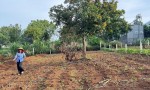 ĐẤT ĐẸP - GIÁ TỐT - Bán GẤP Lô Đất Tiềm Năng Tại Xã Đông Thanh Lâm Hà Lâm Đồng