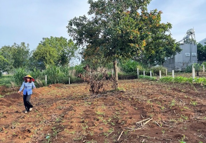 ĐẤT ĐẸP - GIÁ TỐT - Bán GẤP Lô Đất Tiềm Năng Tại Xã Đông Thanh Lâm Hà Lâm Đồng