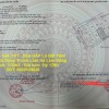 ĐẤT ĐẸP - GIÁ TỐT - Bán GẤP Lô Đất Tiềm Năng Tại Xã Đông Thanh Lâm Hà Lâm Đồng