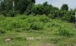 LÔ ĐẤT VỊ TRÍ ĐẸP – GIÁ TỐT - Chính Chủ Cần Bán Nhanh lô đất tiềm năng huyện Nhơn Trạch, Đồng Nai