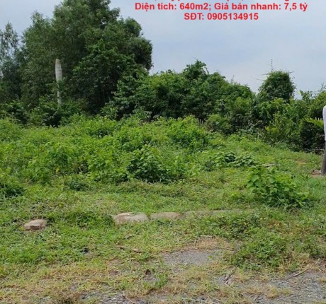 LÔ ĐẤT VỊ TRÍ ĐẸP – GIÁ TỐT - Chính Chủ Cần Bán Nhanh lô đất tiềm năng huyện Nhơn Trạch, Đồng Nai