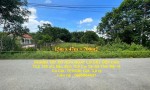 NHANH TAY SỞ HỮU NGAY LÔ ĐẤT ĐẸP Diện Tích 700 m2 Sẵn 40m Thổ Cư Tại Xã Thái Mỹ- H. Củ Chi- TPHCM