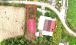 NHANH TAY SỞ HỮU NGAY LÔ ĐẤT ĐẸP Diện Tích 700 m2 Sẵn 40m Thổ Cư Tại Xã Thái Mỹ- H. Củ Chi- TPHCM