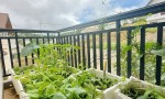 NHÀ SIÊU ĐẸP - GIÁ RẺ Chính Chủ Bán NHÀ Đường Trịnh Hoài Đức, Phường 11, Tp Đà Lạt, Lâm Đồng