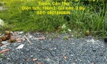 ĐẤT ĐẸP - MẶT TIỀN - Bán GẤP Lô Đất Tiềm Năng Tại Bờ Kè Rạch Hàng Bàng, P. Long Tuyền, Cần Thơ