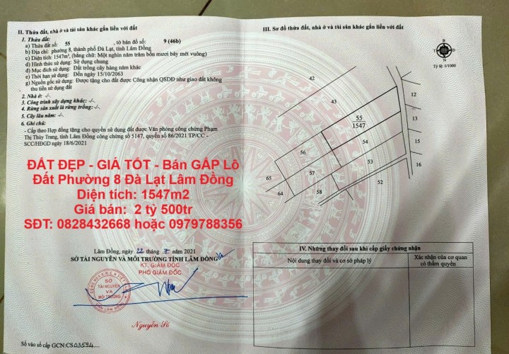 ĐẤT ĐẸP - GIÁ TỐT - Bán GẤP Lô Đất Phường 8 Đà Lạt Lâm Đồng