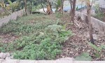 CHÍNH CHỦ CẦN BÁN ĐẤT Phân Lô Khu Tập Thể QĐ Tại Đường Liên Xã, X.Thủy Xuân Tiên, Chương mỹ, Hà Nội.