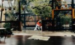 Gia đình đã về định cư tại Đà Nẵng, NAY CẦN BÁN GẤP CĂN NHÀ GỖ THÔNG!