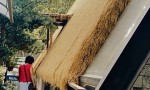 Gia đình đã về định cư tại Đà Nẵng, NAY CẦN BÁN GẤP CĂN NHÀ GỖ THÔNG!