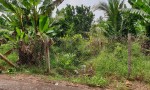 ĐẤT ĐẸP - GIÁ TỐT - Bán GẤP 1 Công Đất Mặt Tiền Tại Xã An Hóa, Châu Thành, Bến Tre
