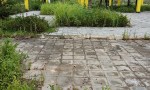 Đất đẹp- đầu tư là sinh lời cần bán nhanh lô Đất Rùa Vàng tại Thị Trấn Vôi tỉnh Bắc Giang