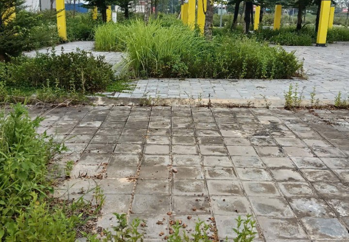Đất đẹp- đầu tư là sinh lời cần bán nhanh lô Đất Rùa Vàng tại Thị Trấn Vôi tỉnh Bắc Giang