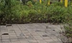 Đất đẹp- đầu tư là sinh lời cần bán nhanh lô Đất Rùa Vàng tại Thị Trấn Vôi tỉnh Bắc Giang