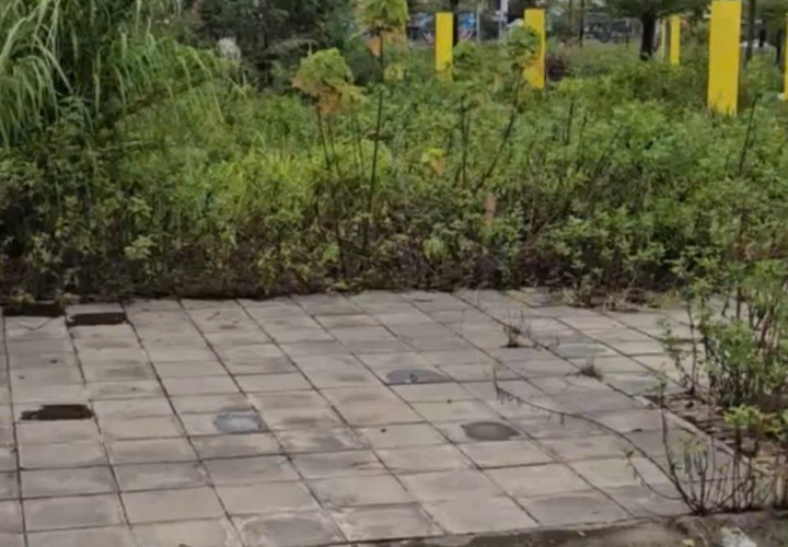 Đất đẹp- đầu tư là sinh lời cần bán nhanh lô Đất Rùa Vàng tại Thị Trấn Vôi tỉnh Bắc Giang
