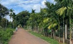 ĐẤT SIÊU ĐẸP - GIÁ ĐẦU TƯ-  Cần Bán Lô Đất Tại  N7 BUÔN JU , Phường Tân An,  Đắk Lắk