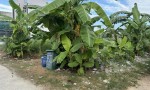 LÔ ĐẤT VỊ TRÍ ĐẸP – ĐẦU TƯ LÀ SINH LỜI - Chính Chủ Cần Bán Nhanh lô đất 2 mặt tiền tại huyện Hóc Môn, TPHCM