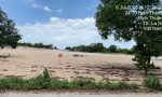 ĐẤT ĐẸP - GIÁ TỐT  - CẦN BÁN LÔ ĐẤT TẠI Đường Tô Hiến Thành, xã Tân Hải, TX. LaGi, Bình Thuận