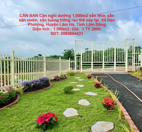 CẦN BÁN Căn nghỉ dưỡng 1.000m2 sẵn Nhà, sẵn sân vườn, sẵn luống trồng rau thế này tại Lâm Hà, Lâm Đồng